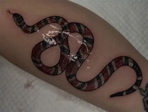 Gucci snake symbolism